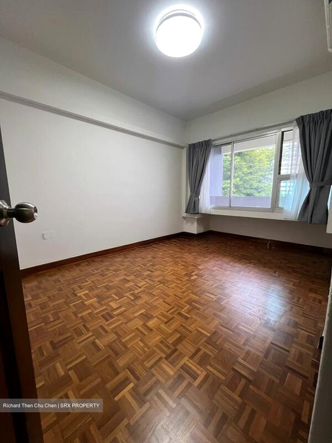 Dunearn Road (D11), Condominium #523846421